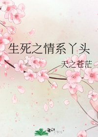 《生死之情繫丫頭》