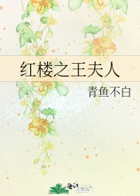 《紅樓之王夫人》