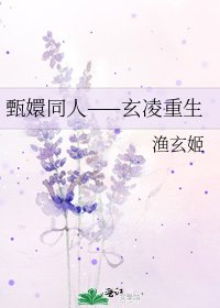 《甄嬛同人——玄玲重生》