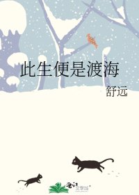 《此生便是渡海》