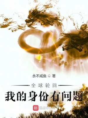 《全球輪迴:我的身份有問題》