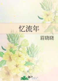 憶流年