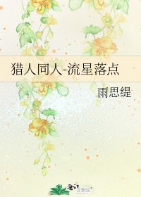《獵人同人-流星落點》