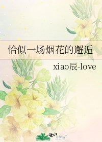 《恰似一場煙花的邂逅》