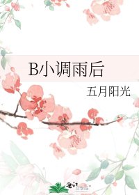《B小調雨後》