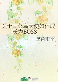 《關於某菜鳥天使如何成長為BOSS》