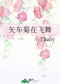 矢車菊在飛舞