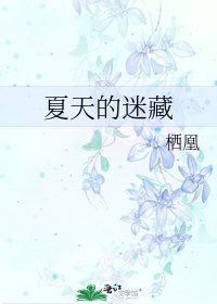 《夏天的迷藏》