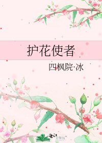 《護花使者》