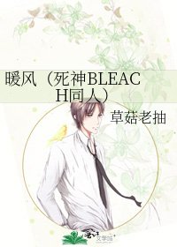 《暖風(死神BLEACH同人)》