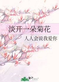 淡開一朵菊花