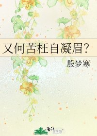 《又何苦枉自凝眉?》