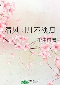 《清風明月不須歸》