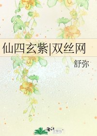《仙四玄紫|雙絲網》