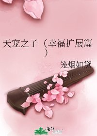 《天寵之子(幸福擴充套件篇)》