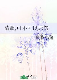 《清照,可不可以悲傷》