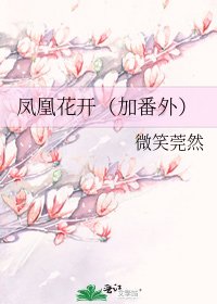 《鳳凰花開(加番外)》