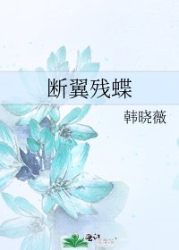 《斷翼殘蝶》