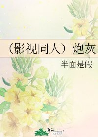 《(影視同人)炮灰》