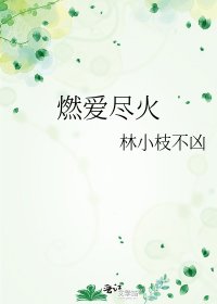 《燃愛盡火》