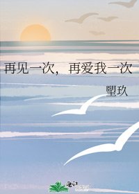 《再見一次,再愛我一次》