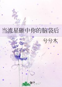 《當流星砸中你的腦袋後》