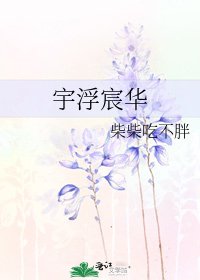 《宇浮宸華》