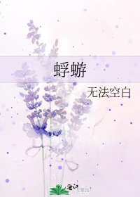 《蜉蝣》