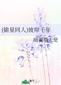 《(偷星同人)彼岸千年》