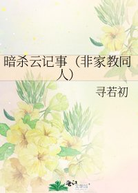 《暗殺雲記事(非家教同人)》