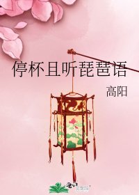《停杯且聽琵琶語》