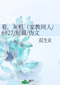 《看,灰機(家教同人/6927/短篇/偽文藝囧)》