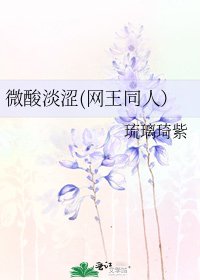 《微酸淡澀(網王同人)》