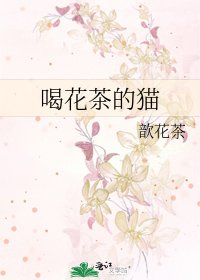 喝花茶的貓