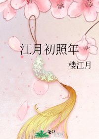 《江月初照年》