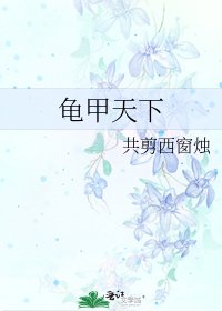 《龜甲天下》