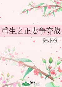 《重生之正妻爭奪戰》