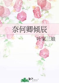 《奈何卿傾辰》
