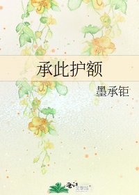《承此護額》