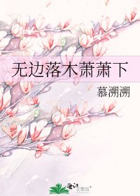 《無邊落木蕭蕭下》