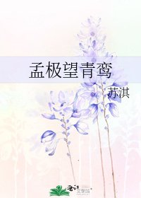 《孟極望青鸞》