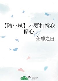 【陸小鳳】不要打擾我修心