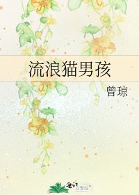 《流浪貓男孩》