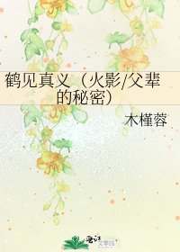 《鶴見真義(火影/父輩的秘密)》