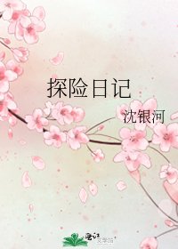 《探險日記》