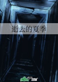 《逝去的夏季》