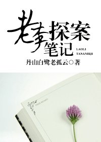 《老李探案筆記》