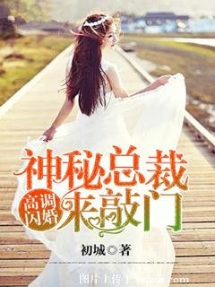 《高調閃婚,神秘總裁來敲門》