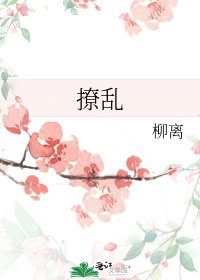 《撩亂》