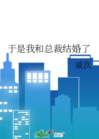 《於是我和總裁結婚了》